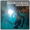 푸른 | 일본 오키나와 푸른동굴투어 셀프 🤿 프리다이빙 후기/주차/준비물/샤워/꿀팁