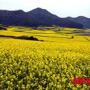 소포마을 이미지