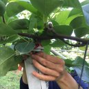 최상배농장 이미지