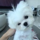 윙크라이프