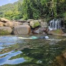 하동카냉동 | 하동 2박 3일 녹차밭 여행 (25.07)