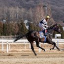 스피드24