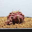 바다의 신 이미지