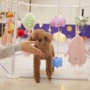 해피퍼피 이미지