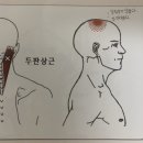필라리움