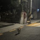 (주)엔버스 이미지