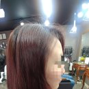 샤론미용실 이미지