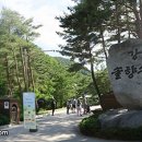 솔향수목원(암석원) 이미지