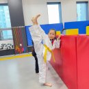 성암체육관(태권도) 이미지