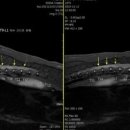 동물의료센터24인치 이미지