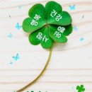 백작크리닝 이미지