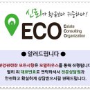 스퀘어월드 이미지