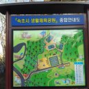 속초시생활체육공원 이미지