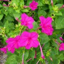 강동로7-15 이미지