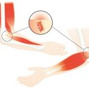 메디컬힐링 이미지