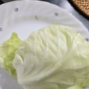 세뚜리푸드
