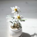 플라워아트 작품 제작 이미지