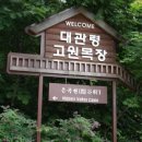 한일목장 티스토리