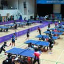 울진군민체육관 이미지