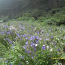 혜원네민박 이미지