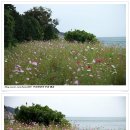 아름다운농원 이미지