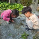 포레스타 | 전남 화순 테라리움 체험 포레스타스테이 광주근교 아이랑 다녀온 후기