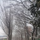 서울신방학초등학교 이미지