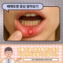 류마제통의원 이미지