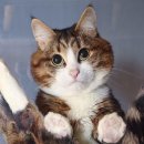 씨앤아이안경원 이미지