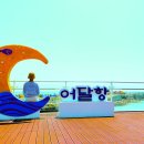 동해분교 이미지