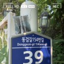 아빠의 정원 이미지