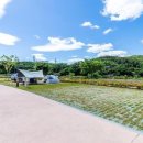 금호강 오토캠핑장 이미지