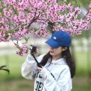 액션캠 인스타360 에이스프로(오즈모포켓3, 오즈모모바일6 비교) 내돈내산 솔직후기