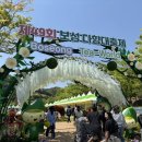 다향떡갈비 | [공지] 보성 다향대축제 다녀왔어요 (실시간)｜주차·동선·먹거리 솔직 후기