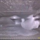 맑은수크리닝 이미지