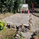 선흘 정원 이미지