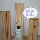 청웅편백 Daum카페
