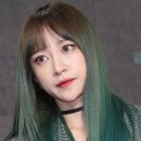 오늘염색 이미지