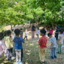 은하자연유치원 이미지