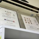 경희대석사비룡태권도장 이미지