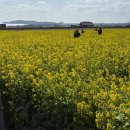 본죽용두점 | 아기랑 제주 여행 2박 3일 • 3월 날씨 • 준비물 • 서쪽 갈만한곳 • 회 포장 갈치조림 공항 근처 맛집