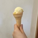 백년순대이야기 | 안산 사동 24시간 영업 해장 맛집 – 백년순대 순대국 솔직 후기