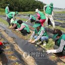 사창리마을회 이미지