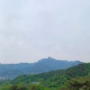 자연을향한대화 네이버블로그