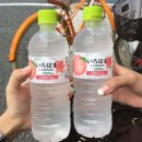 영빈잡화 | 일본 돈키호테 편의점 공항 면세점 기념품 쇼핑리스트 추천 (의약품, 인공눈물, 라멘, 과자 등)