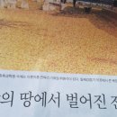 청일목장 이미지