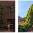 홍익대학교 이미지