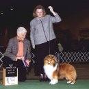 리버티벨 이미지