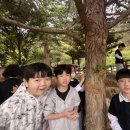 민들레체험학교 | 초등학교 현장학습으로 다녀온 상탄초등학교 2학년 친구들의 우리들 자연학교 숲 체험 후기