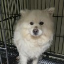 상인지구대 이미지